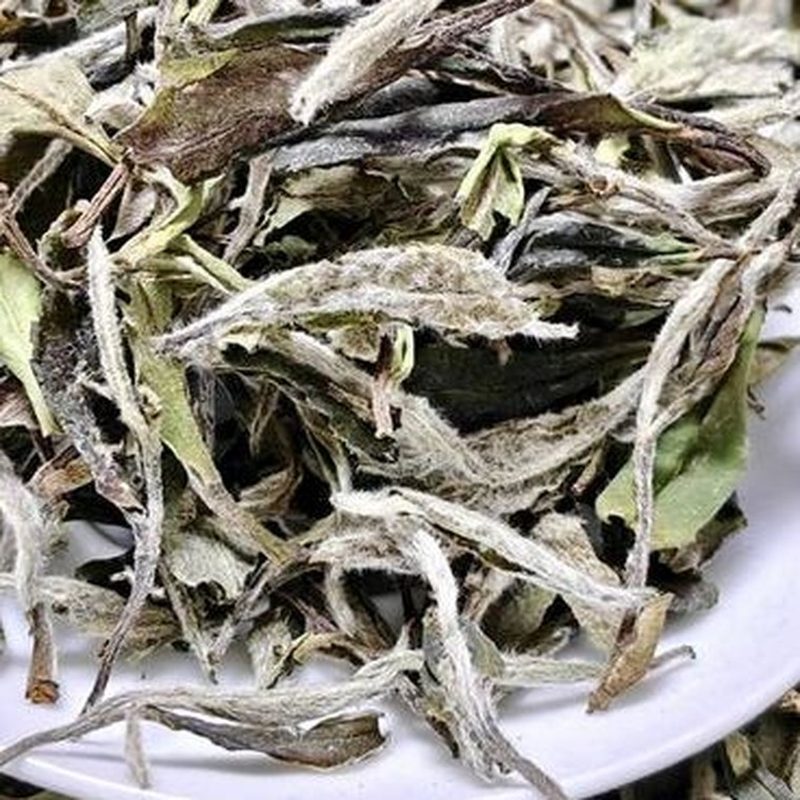 福鼎野韵荒野白牡丹 高山散茶 细节图2
